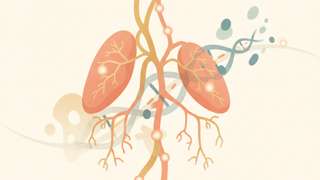 淋巴结肿瘤深度解析：从无痛性肿大到个性化治疗全攻略 - 健康养生封面图