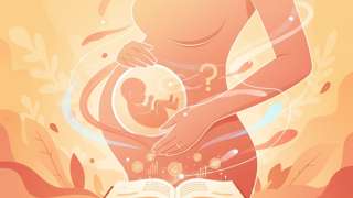 b超数据看胎儿性别（b超数据看胎儿性别准确率为多少）？专家揭秘真相