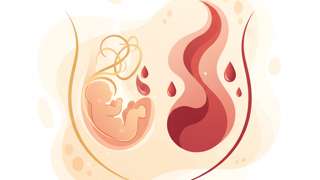 怀孕前期症状详解：着床出血vs月经，怀孕初期症状会流血吗？ - 母婴育儿封面图