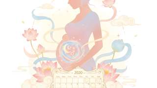 2020年怀孕生男生女表查询 - 母婴育儿封面图