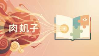 揭秘洪欣“肉丸子”传闻：真相与谣言的博弈 - 生活百科封面图